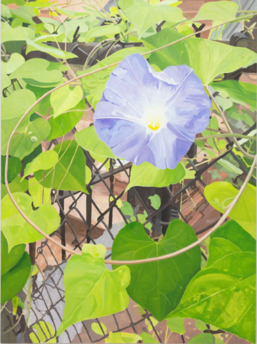 , Alexander Russi, Morning Glory, 2025, 82941