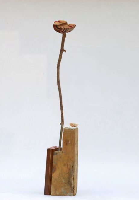 Shaqayeq Arabi, Assemblages, 2021