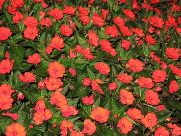 Photography, Mohammadreza Mirzaei, Untitled, 2013, 75646