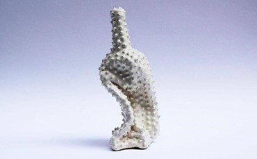 Ava Afshari, Large Bottle, 2024, 0