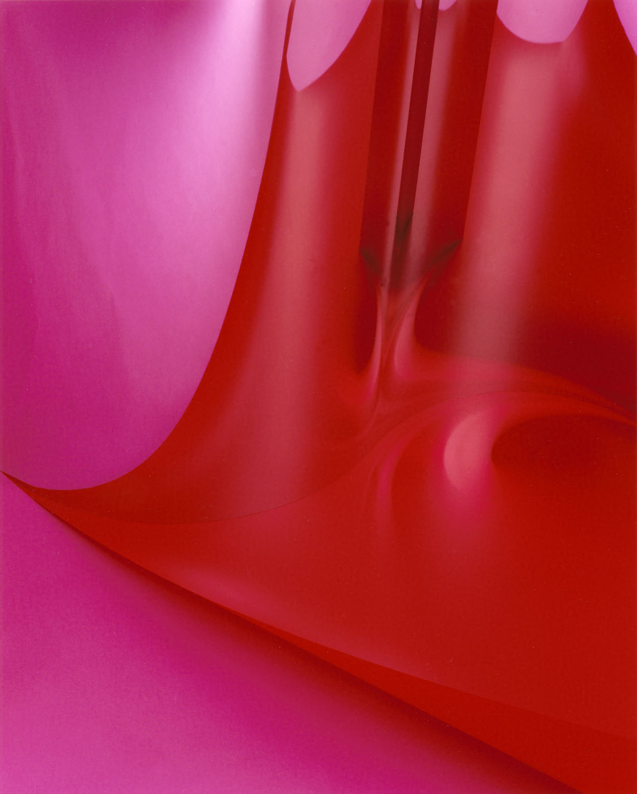 Shirana Shahbazi, Rot-Pink 01, 2017