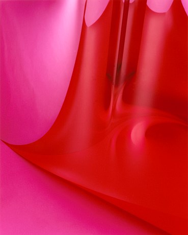 , Shirana Shahbazi, Rot-Pink 01, 2017, 81232