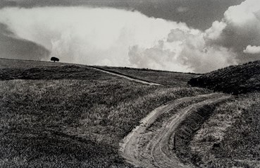 Photography, Abbas Kiarostami, Untitled, , 81026