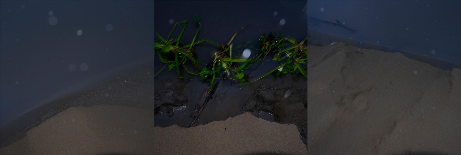 Kavian Esmaeili, Untitled, 2022