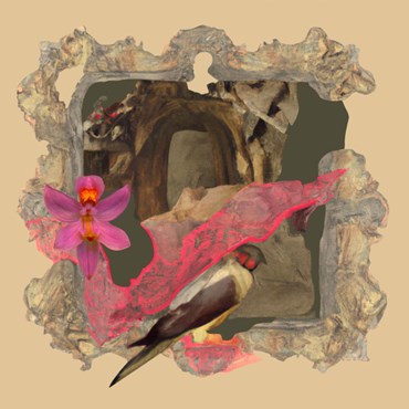 , Debora Hirsch, PLANT (Calopogon Multiflorus), 2023, 73213