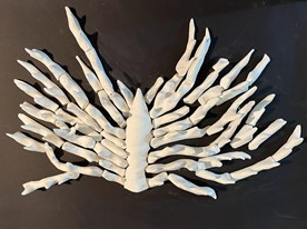 Installation, Dorna Abyak, Pain, 2023, 73846