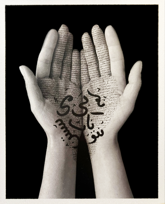 Shirin Neshat, Offerings, 2019