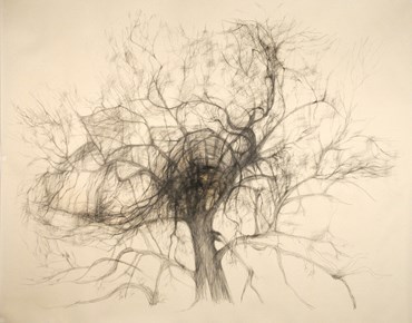 Drawing, Avish Khebrezadeh, Tree of Life 1, 2011, 40854