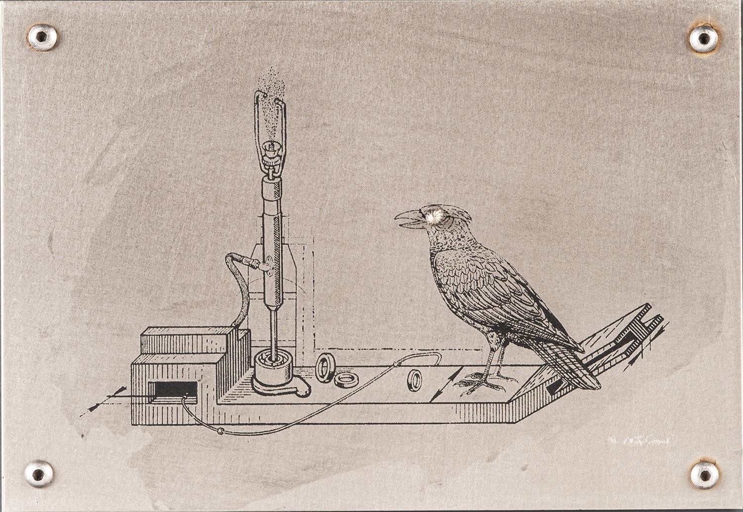Amir Nasr Kamgooyan, Untitled, 2012