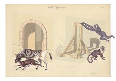 Mixed media, Farshid Larimian (Farshido), As If They Always Belonged to Each Other 05, 2024, 74682