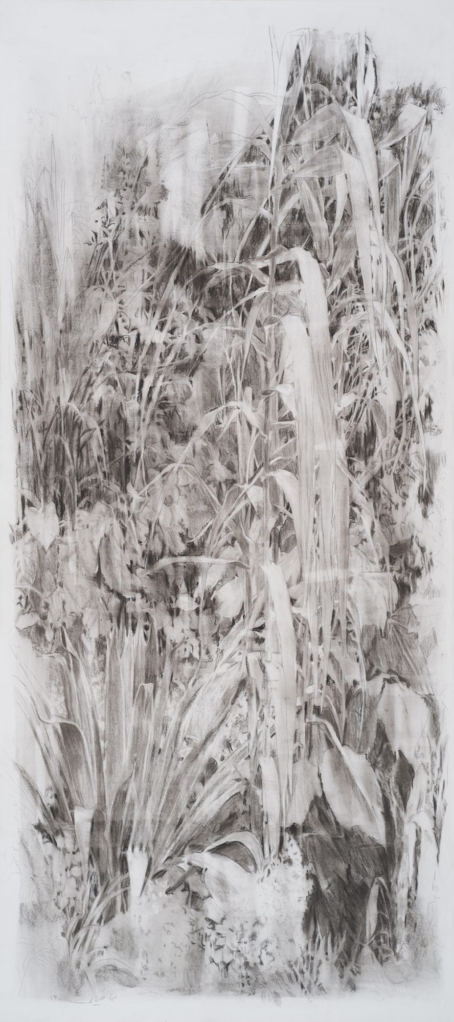 Mina Ghaziani, Untitled, 2021