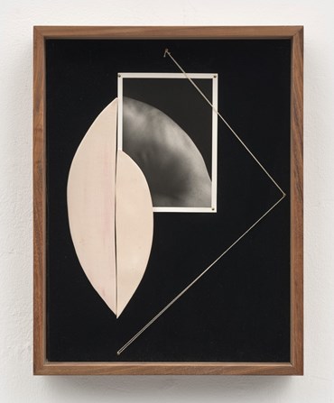 Mixed media, Sheree Hovsepian, Loop, 2024, 77301