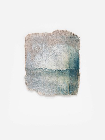 , Kamyar Bineshtarigh, Alka's Darkroom Wall V, 2025, 80446