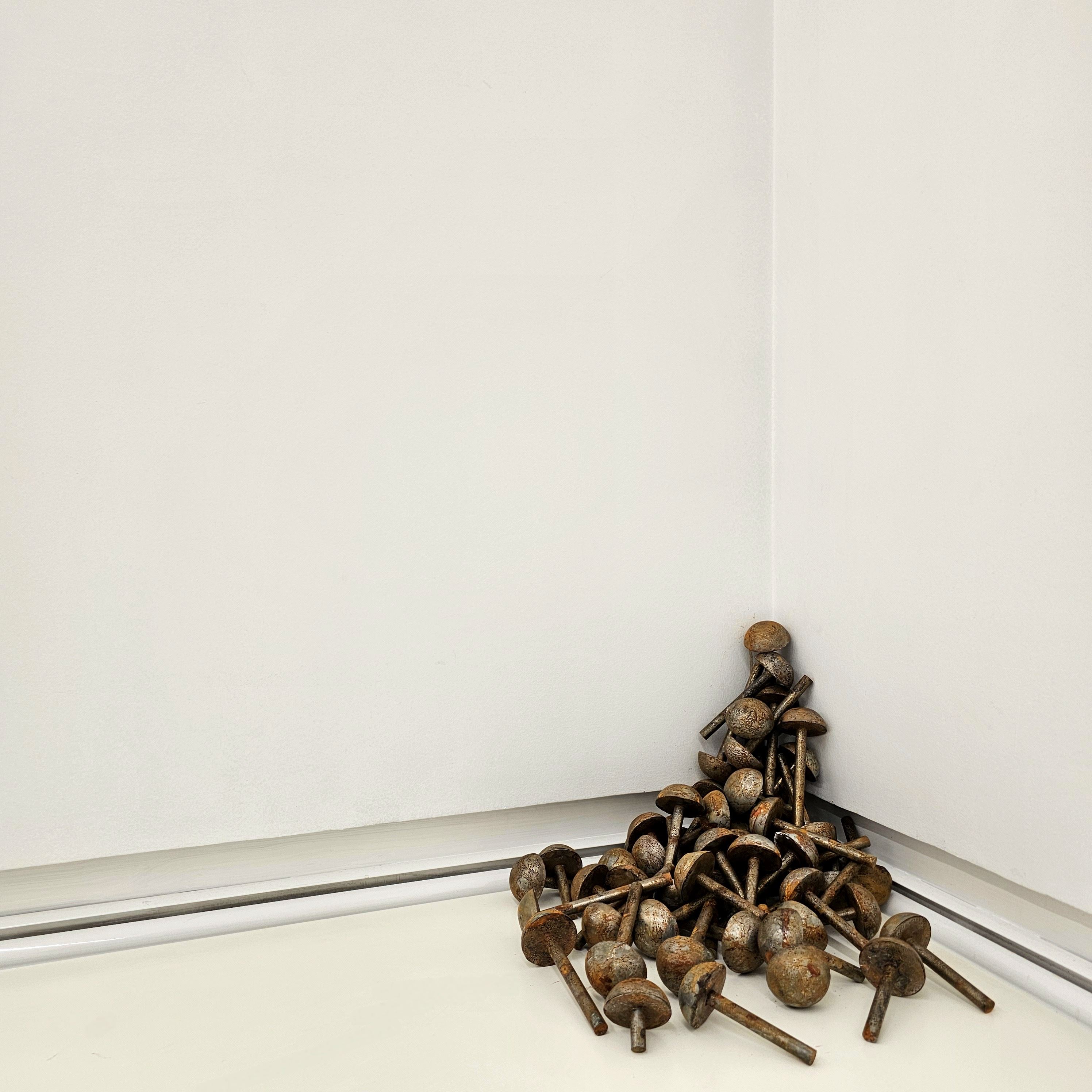 Amirmahdi Zahedy, Untitled, 0
