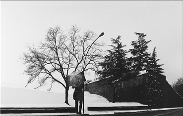 Photography, Abbas Gharib, Woman In The Snow, 2012, 22135