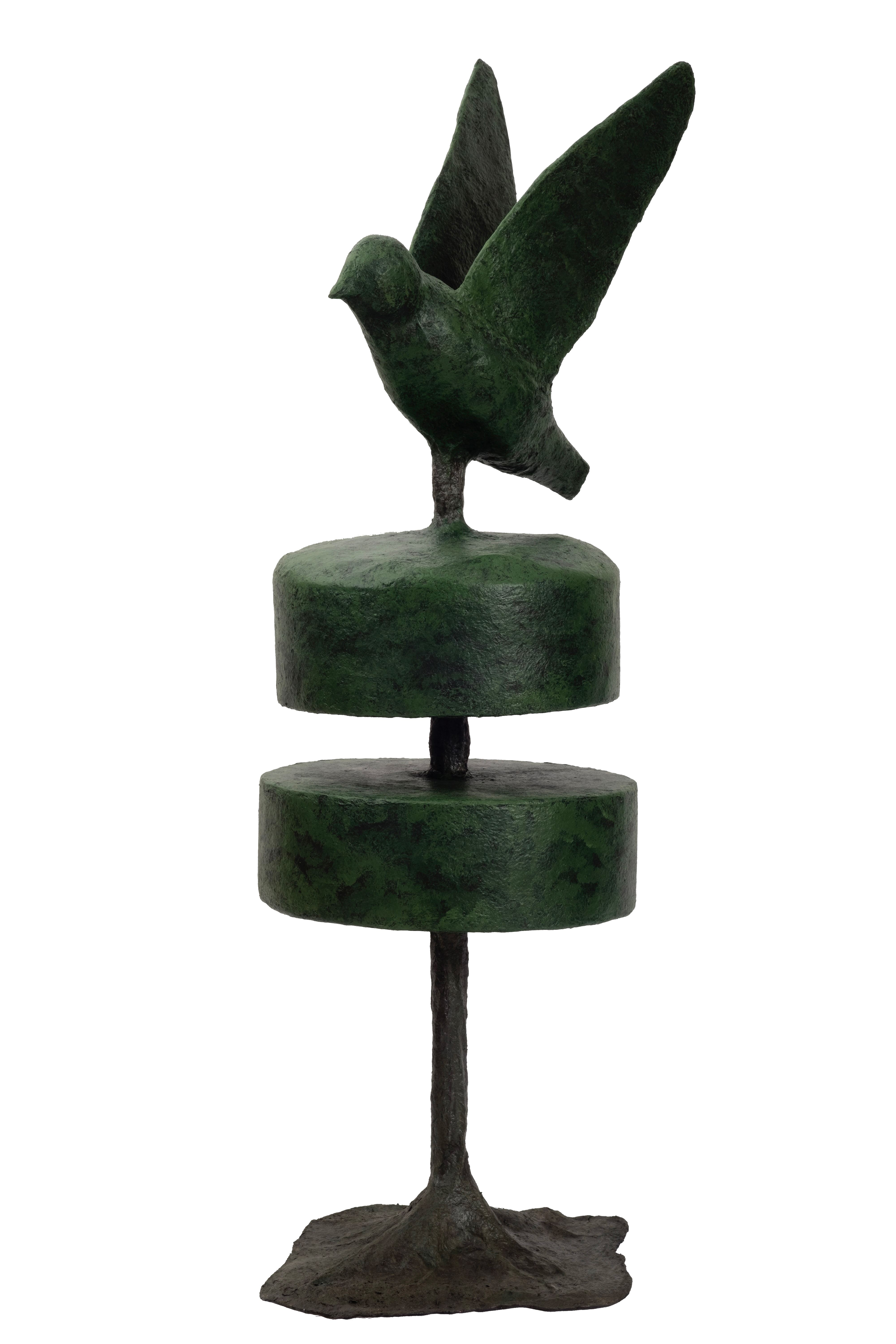 Samaneh Abri, Cypress No. 3, 2026