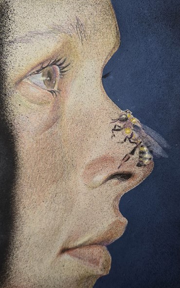 Painting, Faezeh Baharlou, Untitled, , 78437