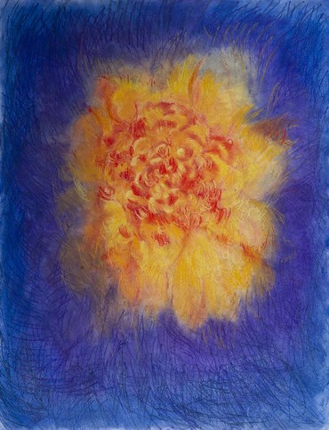Painting, Shahrzad Jahan, A Peony Glowing in my Eyes, 2021, 49714