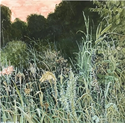 home-scroll-8