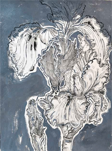 Shirin Karami Mofrad, Untitled, 2024, 0