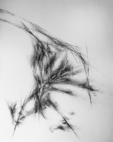 Sahar Nahavandi Nejad, Untitled, 0, 0