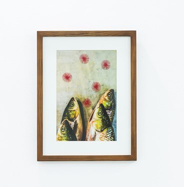, Nazli Abbasi, Untitled, , 83329