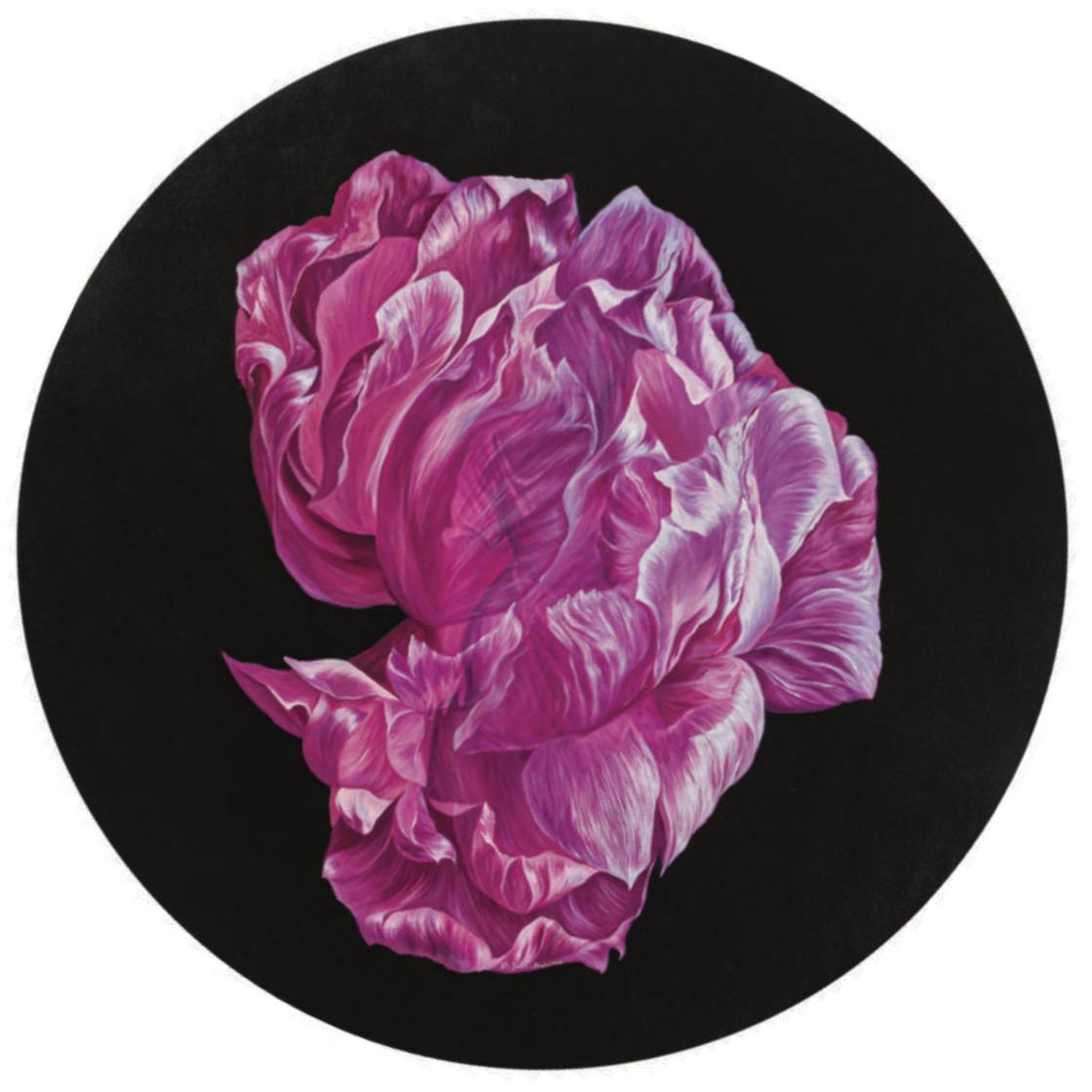 Shabnam Jahanshahi, Pink, 2023