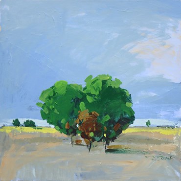 Painting, Arman Yaghoubpour, Untitled, 2024, 78601