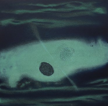 Mixed media, Shirazeh Houshiary, Dew, 2024, 74863