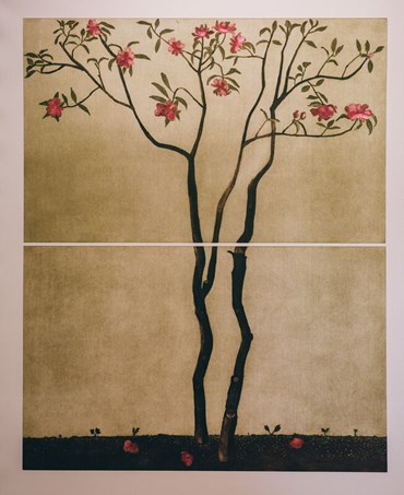 , Cliona Doyle, Camellia Japonica, 2022, 78227