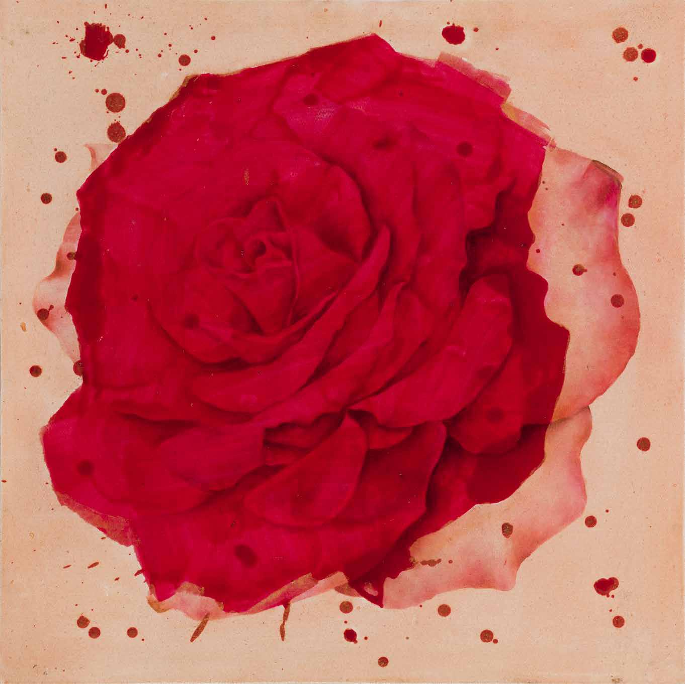 Azadeh Razaghdoost, Untitled, 2023