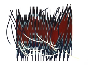 Niusha Baraei, Untitled, 0, 0