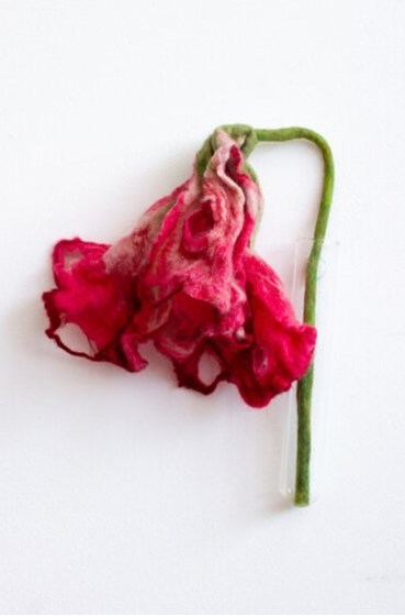 , Hannah Macfarlane, Exhausted Daydream, 2025, 77741