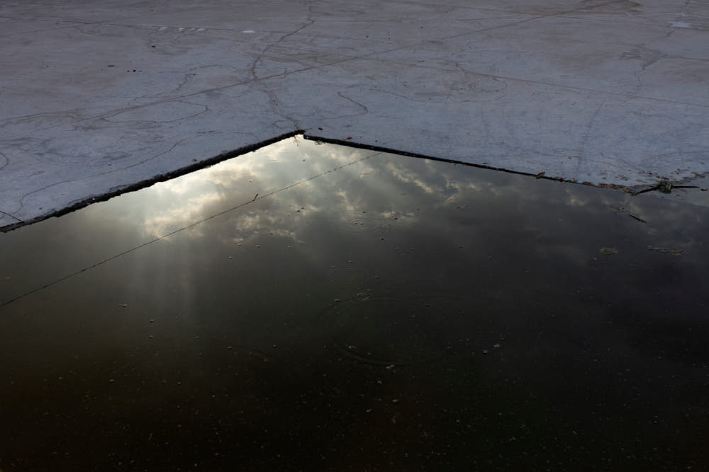 Rasa Hezarkhani, Untitled, 2019