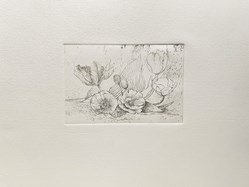 home-scroll-8