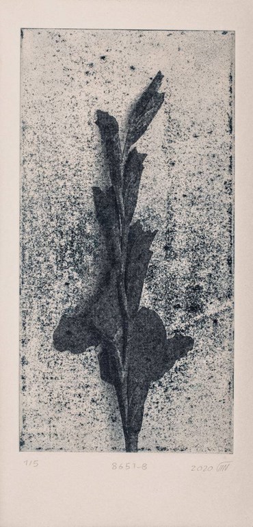 Print and Multiples, Kazhal Fakhri, Untitled, 2020, 68169