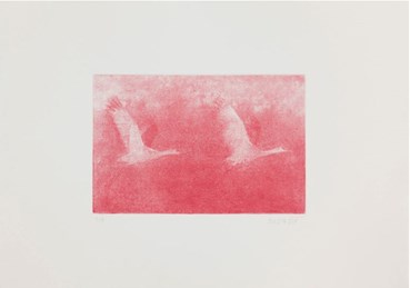 Printmaking, Kazhal Fakhri, Untitled, 2024, 76349