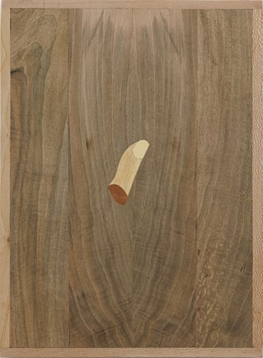 , Farhad Ahrarnia, The Served Thumb, 2024, 77018