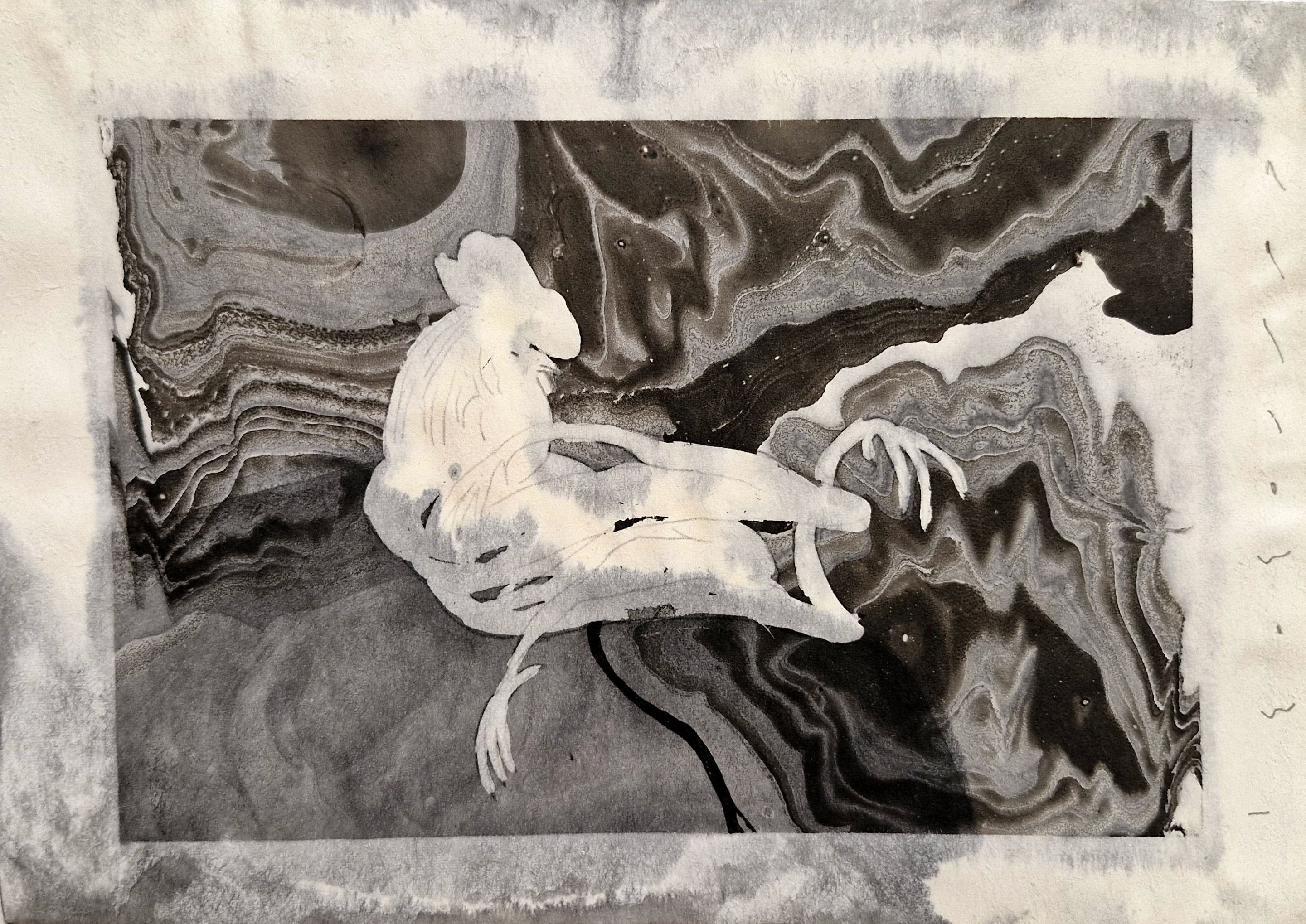 Hamideh Mohebbi, Untitled, 0