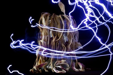 , Mina Boroomand, Lightning IV, 2023, 81660