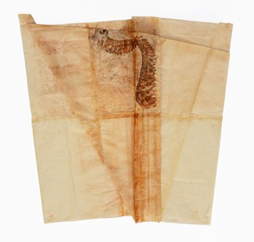 Printmaking, Sama Rahmani, Untitled, 2023, 75071