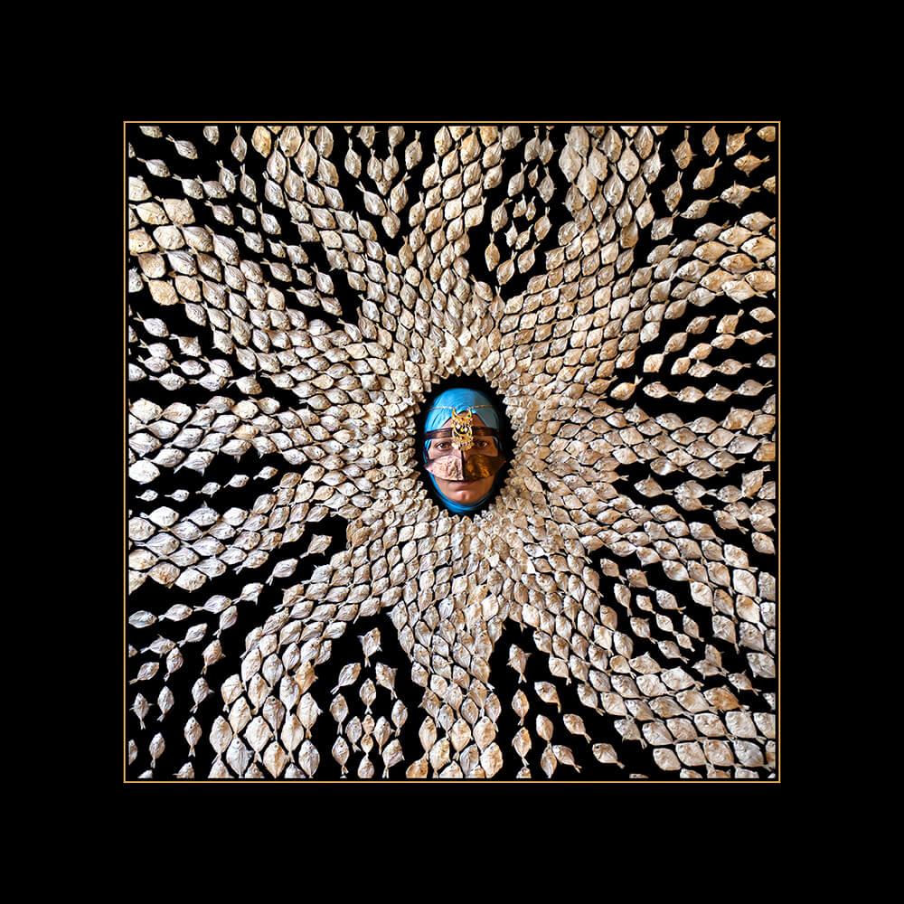 Alireza Memariani, Khatoon , 2016
