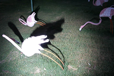 , Nooshin Shafiei, Untitled, 2018, 79281