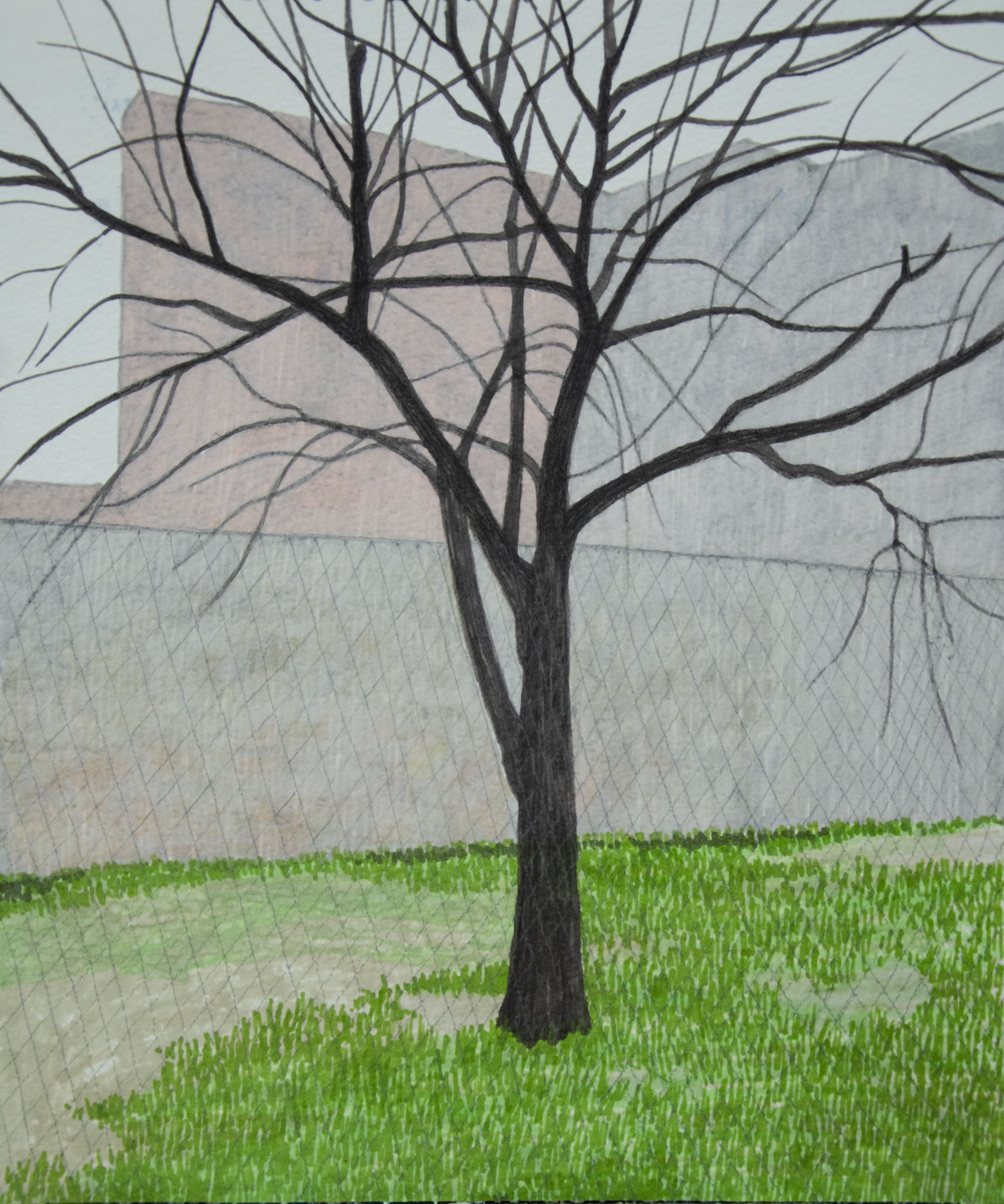 Anahita Darab Beigi, Fence, 2022