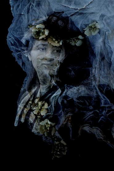 Digital Art, Nazli Abbasi, Untitled, 2024, 73143