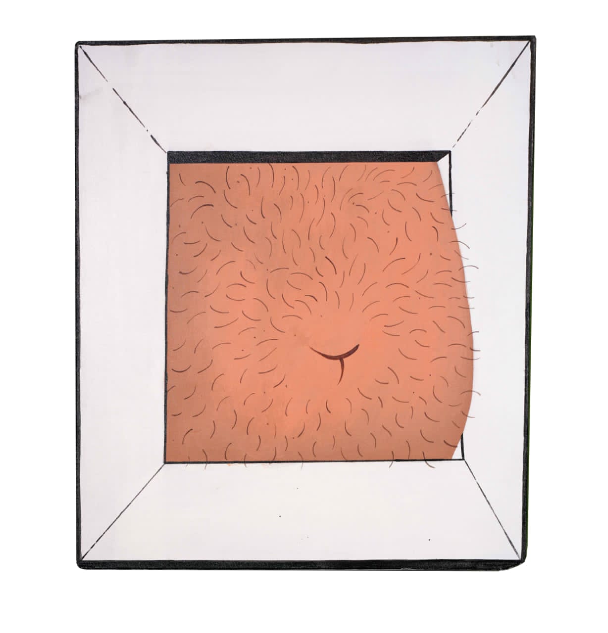 Bozorgmehr Hosseinpour, Untitled, 0