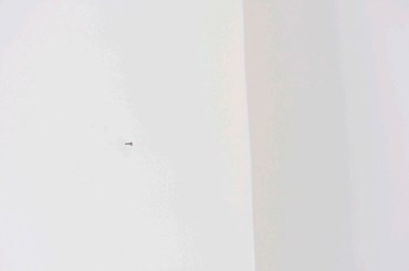 Photography, Golara Jahanian, Untitled, 2024, 74588