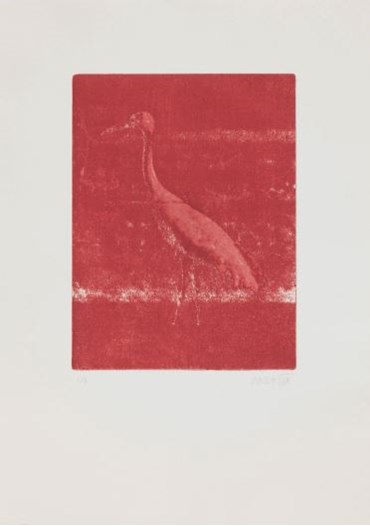Printmaking, Kazhal Fakhri, Untitled, 2024, 76350