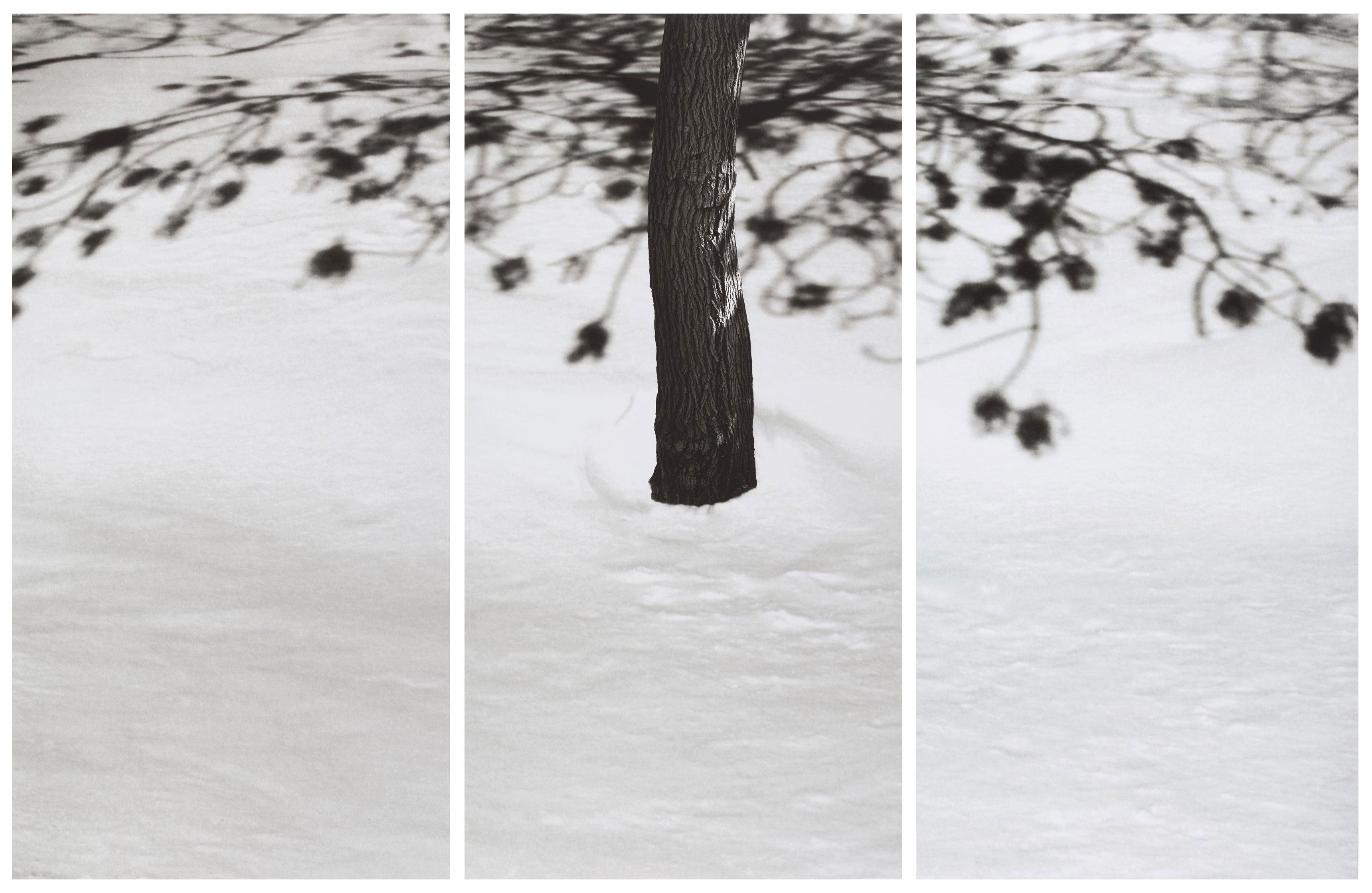 Abbas Kiarostami, Snow White, 0