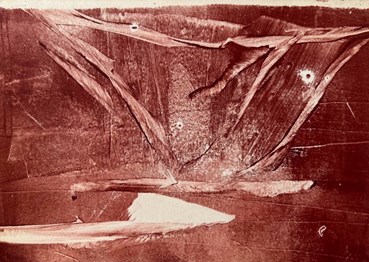 Aida Balanchi, Untitled, 2023, 0